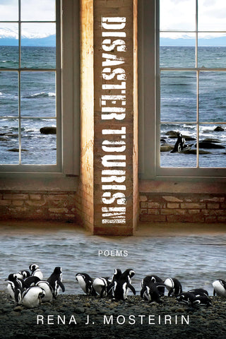 Disaster Tourism - BOA Editions, Ltd.