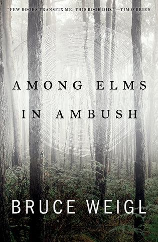 Among Elms, in Ambush - BOA Editions, Ltd.